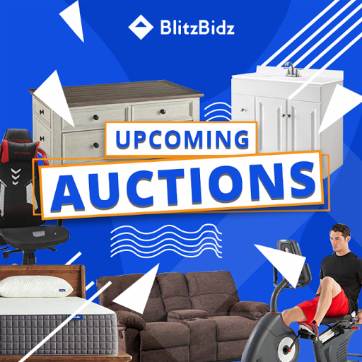 BlitzBidz Auctions