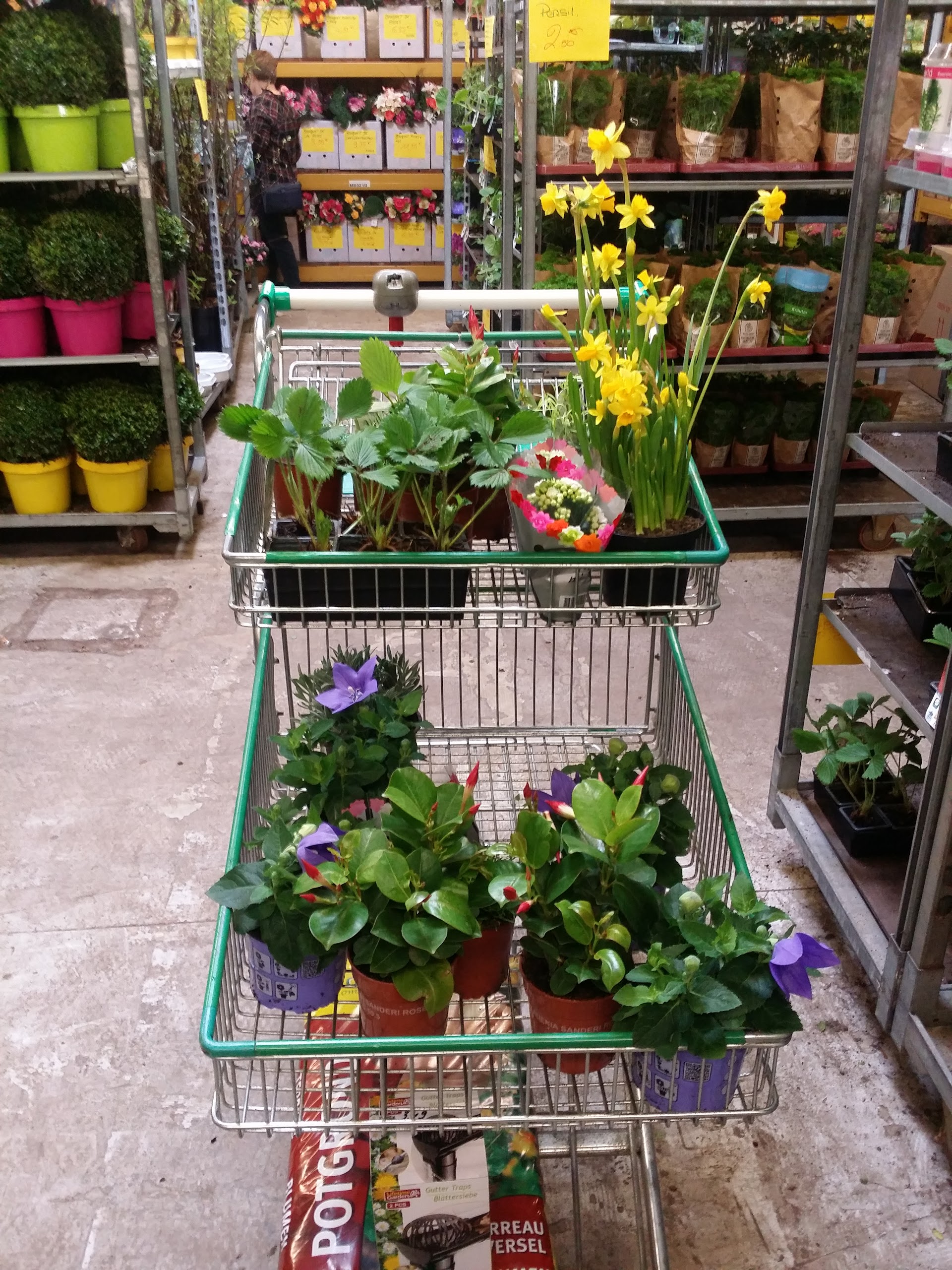 Photo n° 1 de l'avis de nathalie.a fait le 02/04/2017 à 07:27