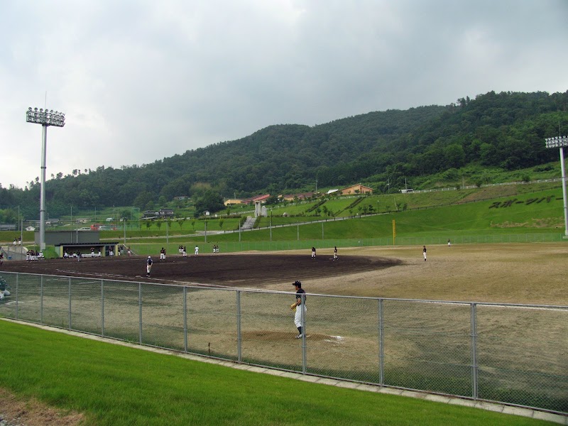 有漢野球場