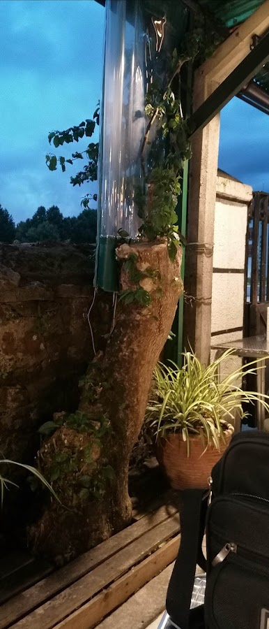 Cerveceria Las Palmeras