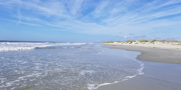 Bird Island Reserve