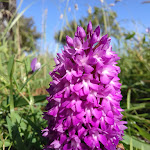 Photo n° 2 de l'avis de Baptiste.i fait le 27/05/2019 à 15:46 pour la riviere de Chauvignac à Chenac-Saint-Seurin-d'Uzet