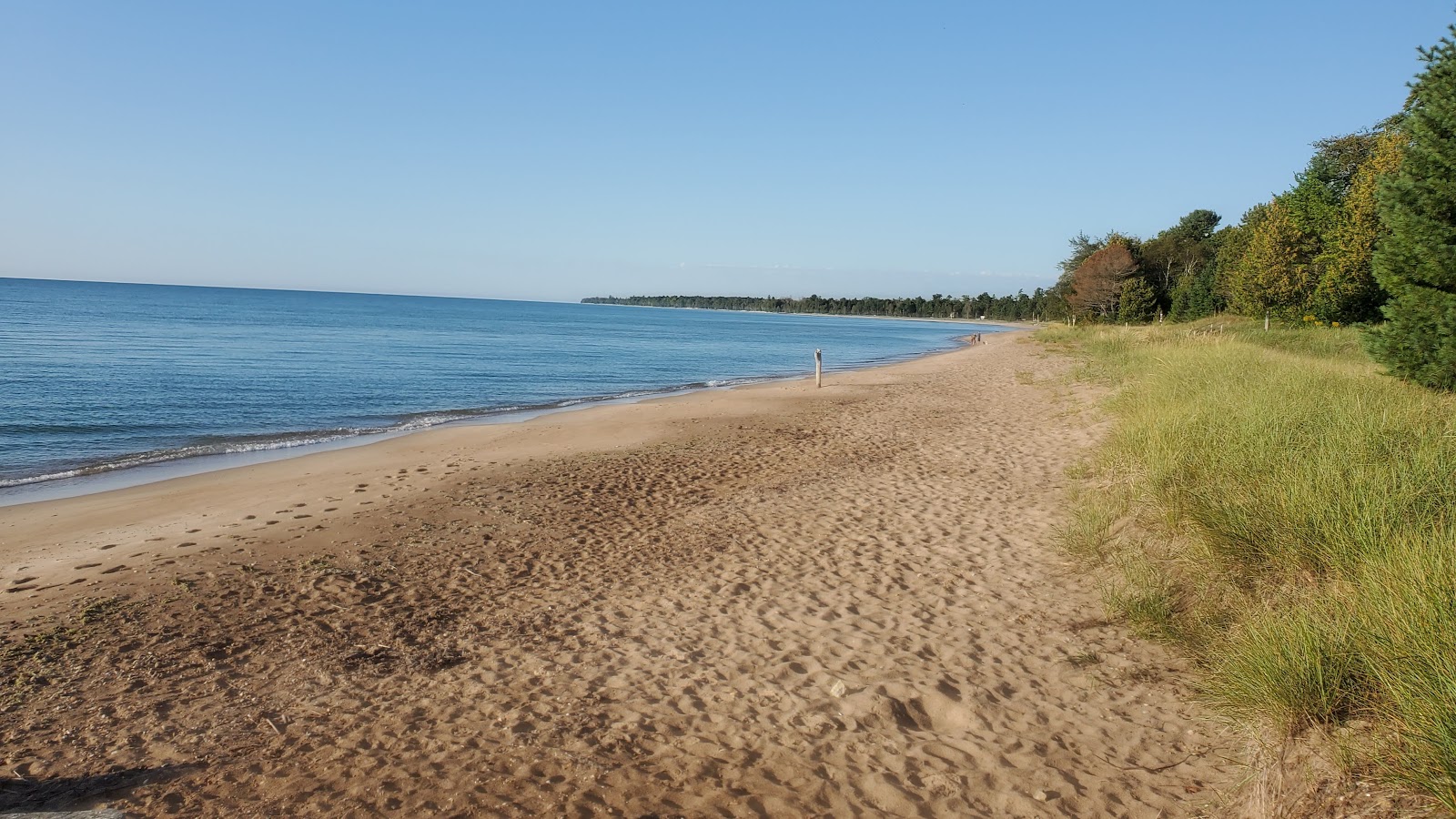 Fotografie cu Lily Bay cu o suprafață de nisip beige