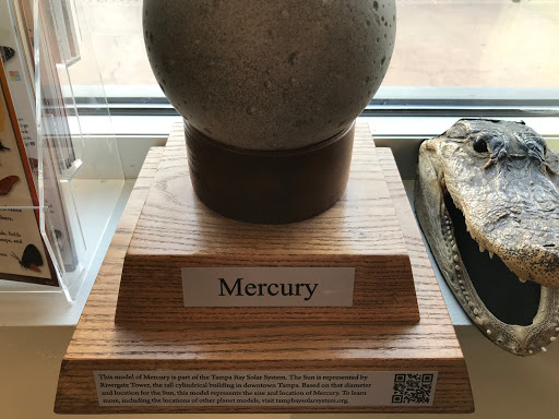 Book Store «Inkwood Books», reviews and photos, 216 S Armenia Ave, Tampa, FL 33609, USA