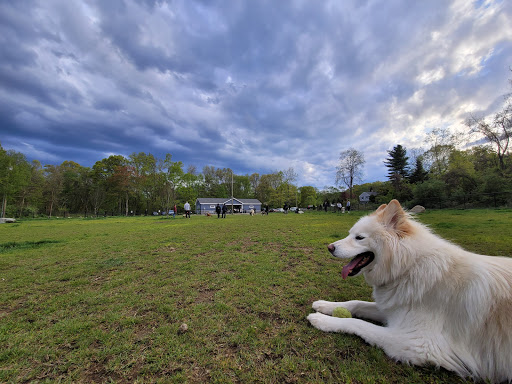 Dog Park «Dog Park», reviews and photos, 1001 W River St, Milford, CT 06461, USA