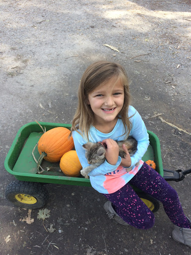 Pumpkin Patch «Barts Farm and Pumpkin Patch», reviews and photos, 7307 Alburnett Rd, Marion, IA 52302, USA