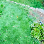 Photo n°25 de l'avis de Daniel.� fait le 31/07/2023 à 18:11 sur le  Villa Boscarino - Boutique Hotel à Ragusa