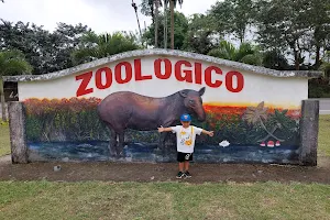 Zoologico La Isla Del Tapir image