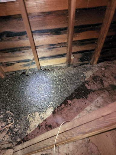 Pest Control Service «Attic Kings», reviews and photos