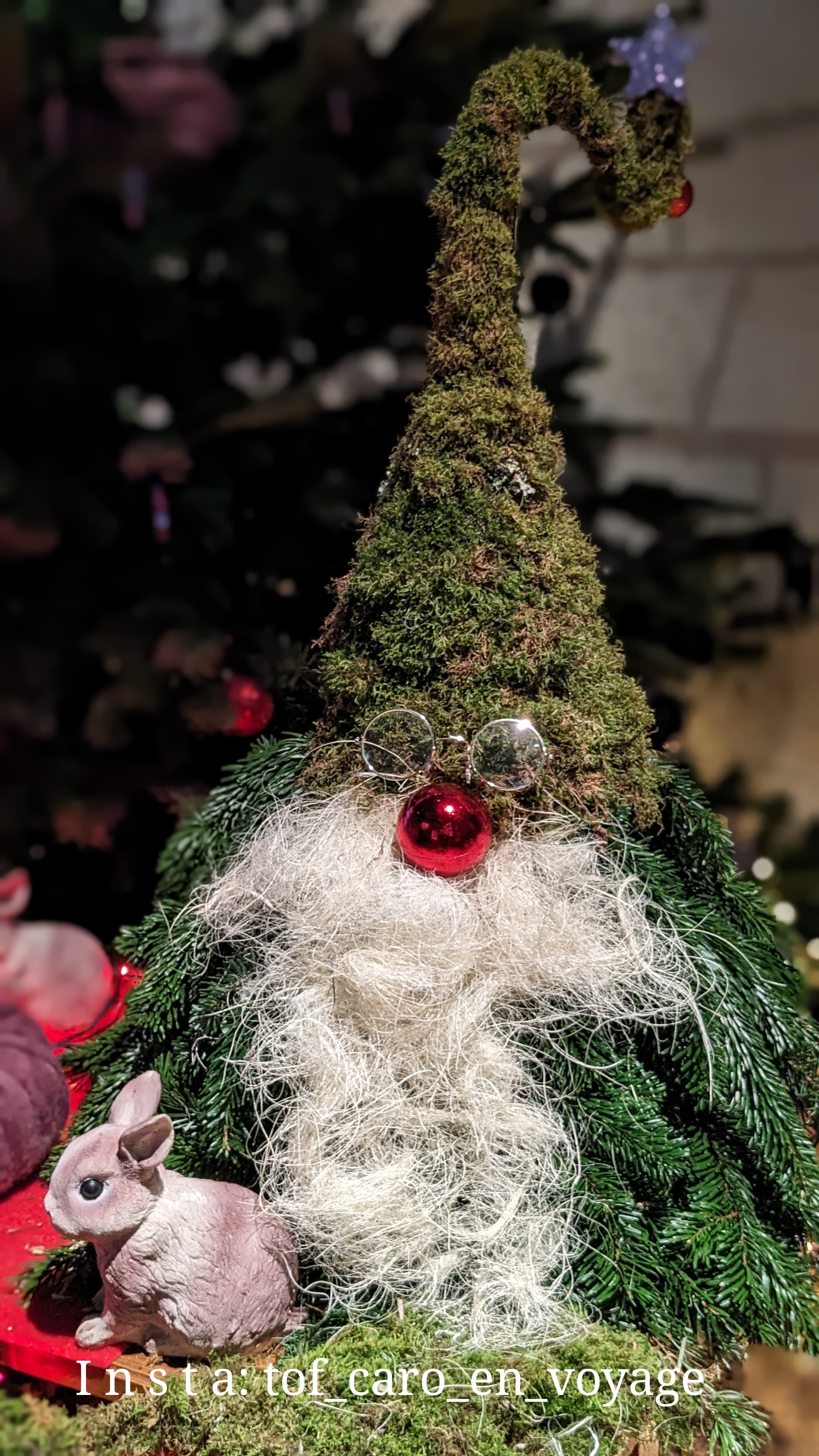 Photo n° 1 de l'avis de spacy.o fait le 10/12/2023 à 17:45