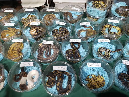 Event Venue «Rochester Main Street Armory», reviews and photos, 900 E Main St, Rochester, NY 14605, USA