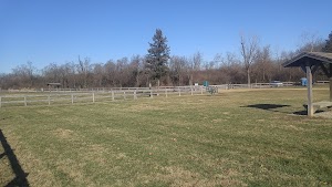 Scout Dog Park - photo 76
