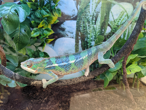 Pet Supply Store «Petco Animal Supplies», reviews and photos, 244 Pioneer Trail, Chaska, MN 55318, USA