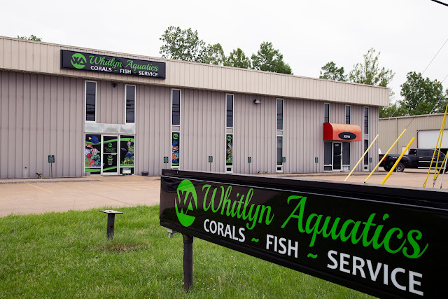 Whitlyn Aquatics, LLC