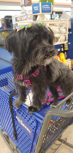 Pet Supply Store «PetSmart», reviews and photos, 466 S Watson Rd, Buckeye, AZ 85326, USA