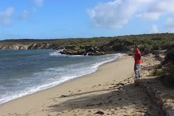 Foto de Cable Bay Beach com uma linha costeira espaçosa