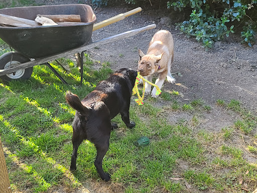 Pet Store «Humboldt Pet Supply», reviews and photos, 145 G St, Arcata, CA 95521, USA