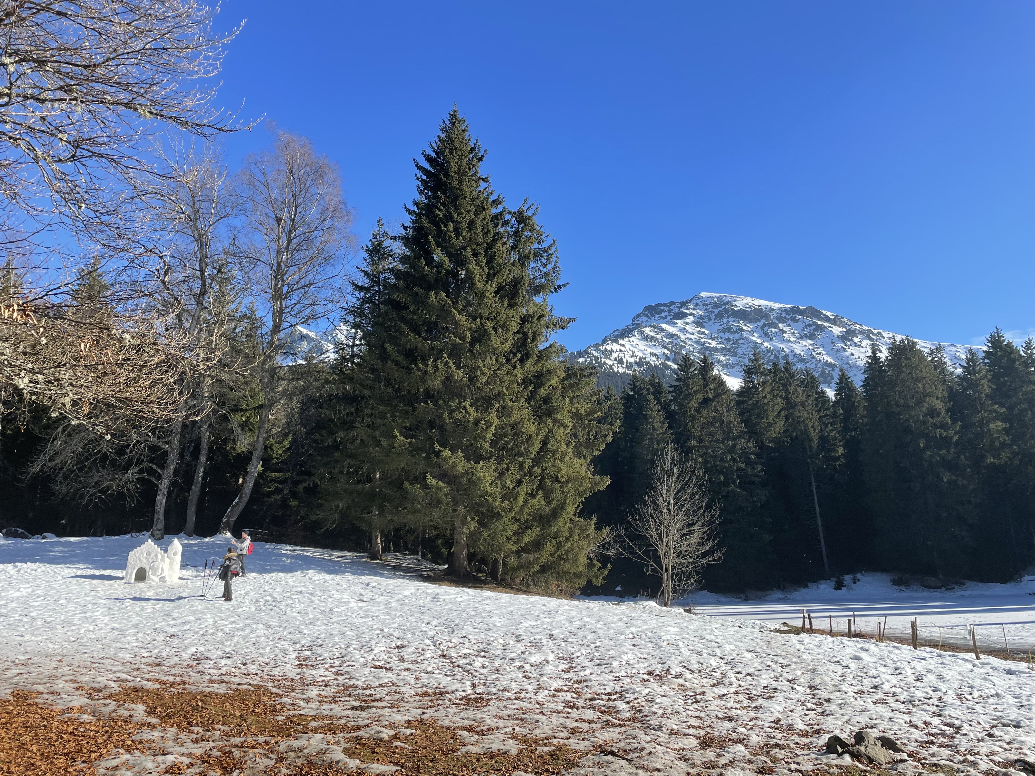 Photo n° 1 de l'avis de Christophe.r fait le 13/02/2022 à 19:00