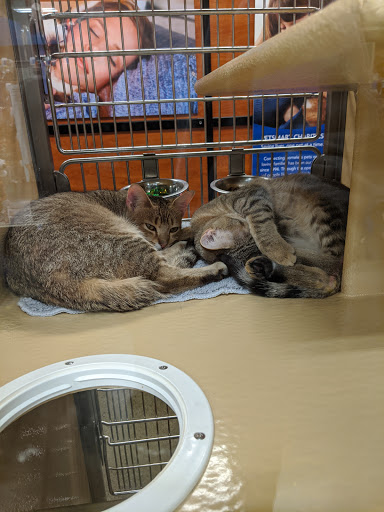 Pet Supply Store «PetSmart», reviews and photos, 3101 Market Center Drive, Morrisville, NC 27560, USA