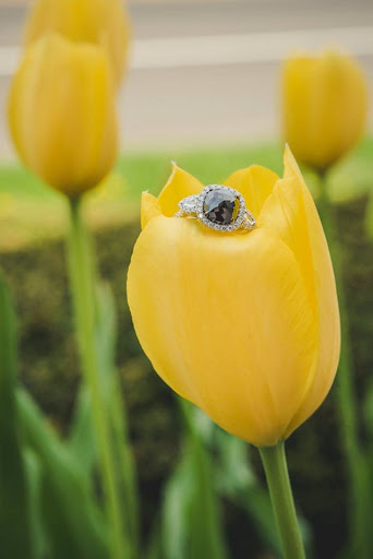 Jewelry Store «Branford Jewelers», reviews and photos, 567 Main St, Branford, CT 06405, USA