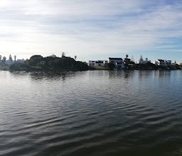 Park Island bird hide photo