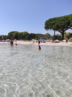 CASA TARTARUGA | SCI L'Olivier Bleu à Porto-Vecchio