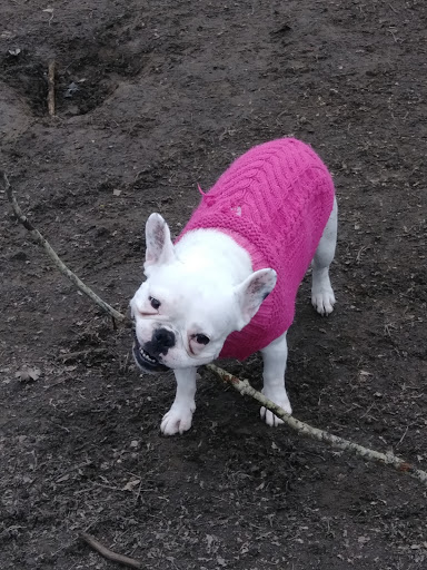 Park «Irving Park», reviews and photos, 707 NE Fremont St, Portland, OR 97212, USA