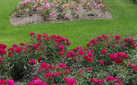 St. Anne’s Rose Garden image