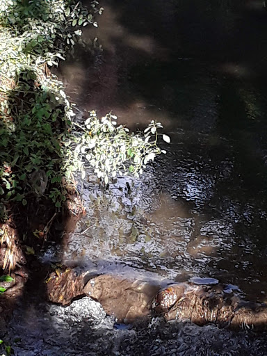 Dry Cleaner «Long Meadow Express Cleaners», reviews and photos, 1511 Potomac Ave, Hagerstown, MD 21742, USA