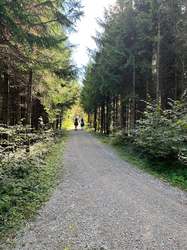 Leere Fläche im Wald - Campingplatz