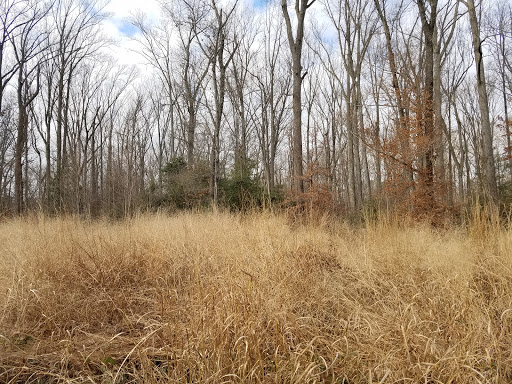 Tourist Attraction «Gaines Mill Battlefield», reviews and photos, 6283 Watt House Rd, Mechanicsville, VA 23111, USA