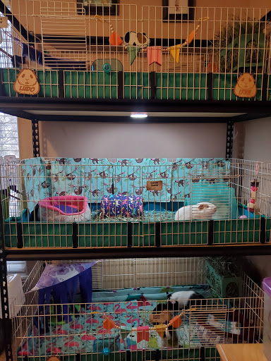 Pet Supply Store «Petco Animal Supplies», reviews and photos, 6418 S Staples St b, Corpus Christi, TX 78413, USA