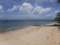 Photo de Orange Beach avec un niveau de propreté de très propre