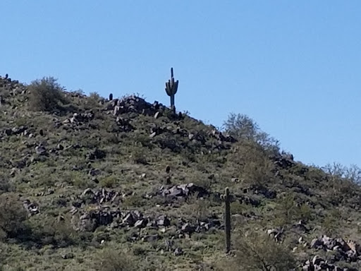 Golf Club «Verrado Golf Club», reviews and photos, 4242 N Golf Dr, Buckeye, AZ 85396, USA