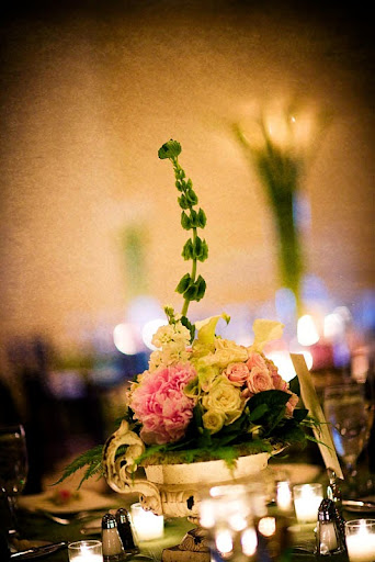 Wedding Planner «Shay Brown Events - The Southern Wedding Experience», reviews and photos, 80 Broadway, Asheville, NC 28801, USA