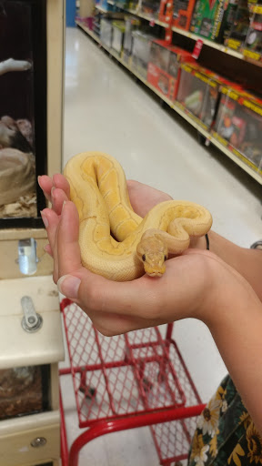 Pet Supply Store «PetSmart», reviews and photos, 4013 Wisconsin 28, Kohler, WI 53081, USA