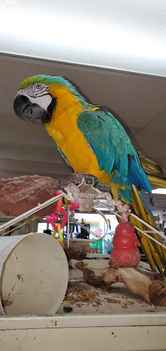 Pet Store «Boiling Springs Pet World», reviews and photos, 2651 Boiling Springs Rd, Spartanburg, SC 29316, USA