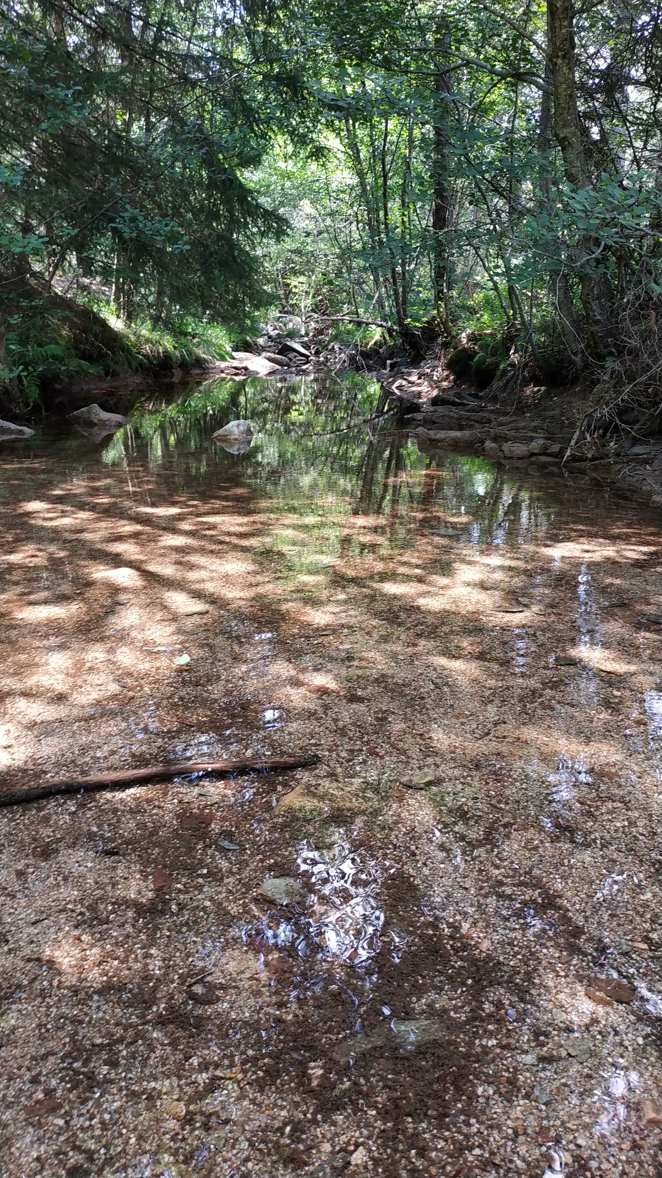 Photo n° 2 de l'avis de viator.i fait le 21/07/2019 à 16:01