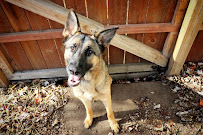 The WoofPack LLC - Photo 5 - Car repair in Toledo, OH, Toledo