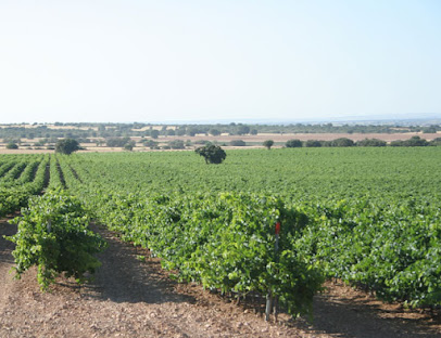 Agrocinegetica Joma S.L.