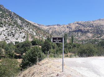 Direkli Mağara Kazı Alanı