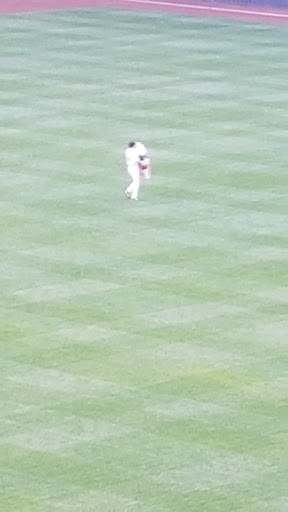 Stadium «Miller Park», reviews and photos, 1 Brewers Way, Milwaukee, WI 53214, USA