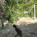 Photo n°7 de l'avis de Mir71co. fait le 18/08/2021 à 07:54 sur le  Parco Zoo Falconara Srl à Falconara Marittima