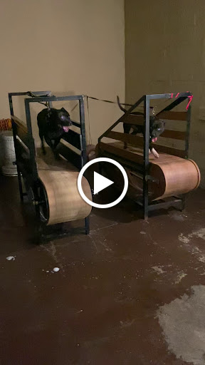 Pet Supply Store «Ace Pet Supply & K-9 Center Inc», reviews and photos, 206 Vanderpool St, Newark, NJ 07114, USA