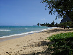 Kualoa Beach'in fotoğrafı vahşi alan