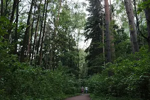 Vkhod V Bittsevskiy Park image
