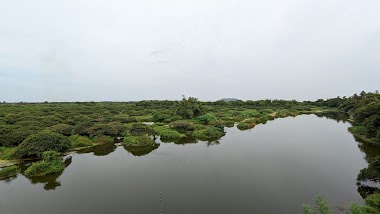 Vedanthangal Bird Sanctuary