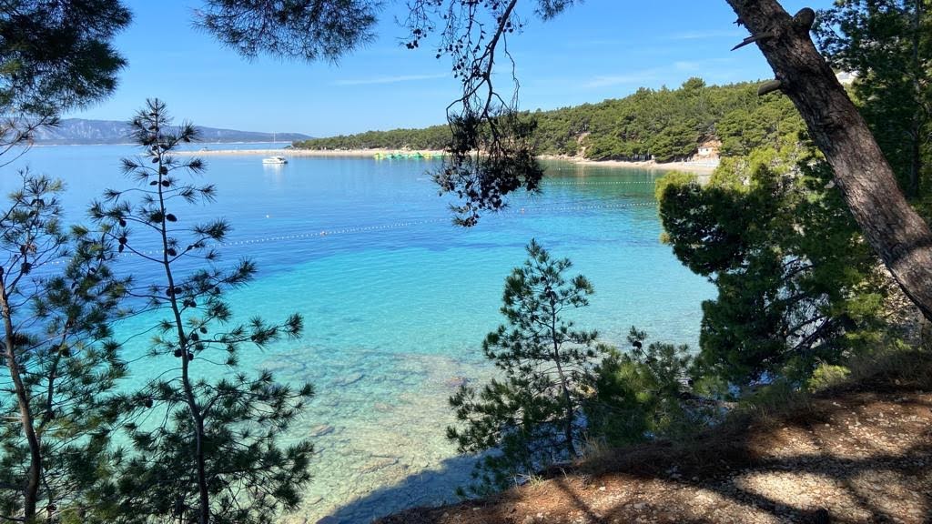 Photo n° 16 de l'avis de Marie-Hélène.N fait le 20/08/2022 à 20:06