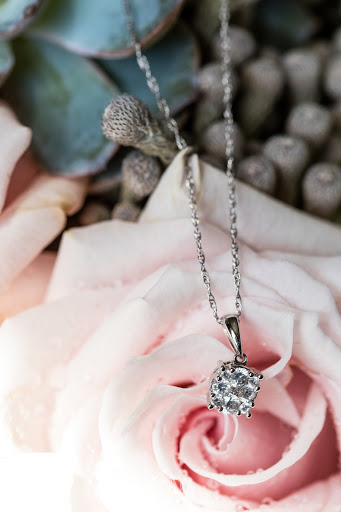 Florist «Moles Flower & Gift Shop», reviews and photos, 3000 Ridge Pike, Norristown, PA 19403, USA