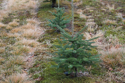 Farm «Vandervalk Farm & Winery», reviews and photos, 25 Lovell St, Mendon, MA 01756, USA